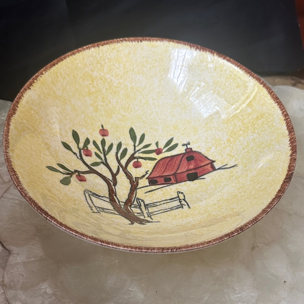Vintage Blue Ridge southern hand painted pottery